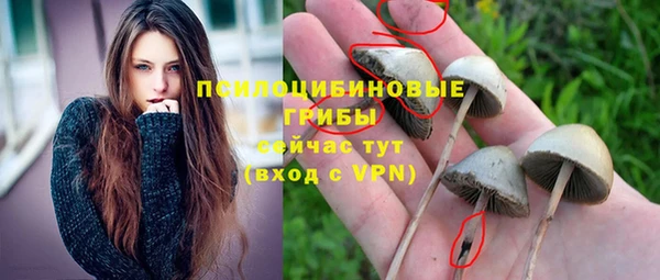 стафф Армянск